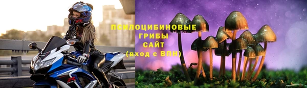 синтетический гашиш Алексин