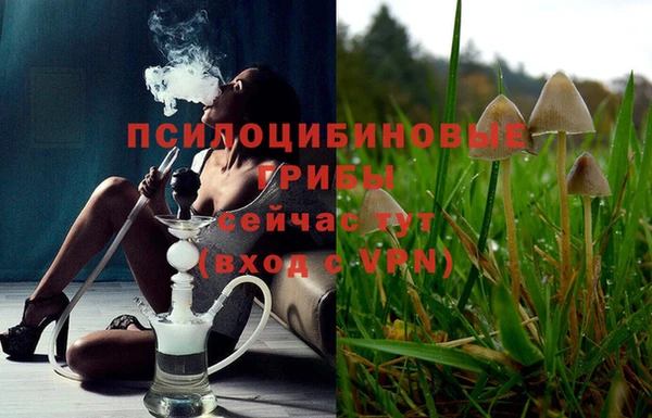 синтетический гашиш Алексин